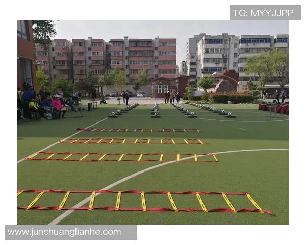 家庭体育器材价格分析与选购指南助您打造健康生活方式